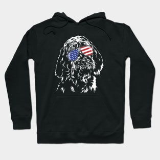 Proud Italian Spinone American Flag sunglasses dog Hoodie